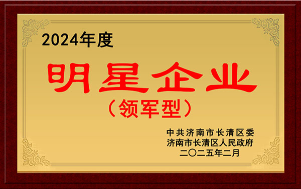 濟(jì)南沃德獲評(píng)2024年度長清區(qū)領(lǐng)軍型明星企業(yè)